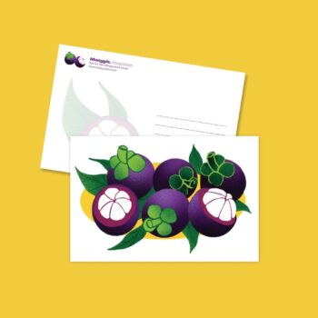 Mangosteen Postcard