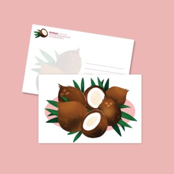 Coconut Postcard